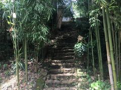 -老木棉·匠园