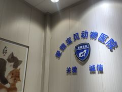 -中农大我爱我爱24h动物医院·中医针灸·猫专科·骨科医疗中心(双井店)