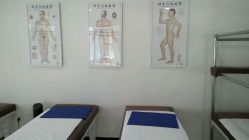 -赵大夫减肥