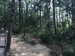 景点-剑门关风景区