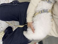 -瑞派康怡24h宠物医院·犬猫医疗中心·微创绝育(瑞景分院)