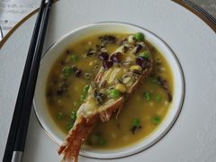 -上海新锦江大酒店