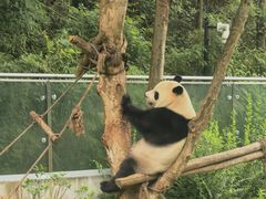 -黔灵山公园