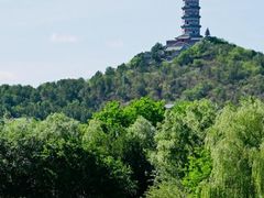 -北坞公园