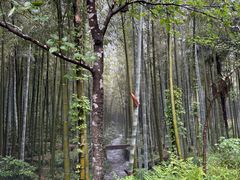 -黄公望隐居地