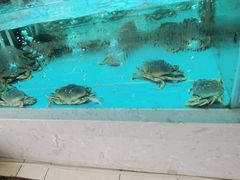 -香融府·烤鸭·家常菜(马家堡路店)