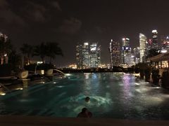 -新加坡文华东方酒店