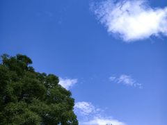 -温都水城·水梦奇缘