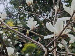 -福清灵石山国家森林公园