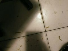 -帽儿山漂流