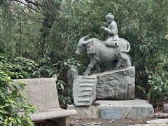-九华山公园