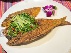 -香巴拉云南餐厅(华莱坞店)