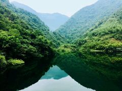 -东天目山风景区