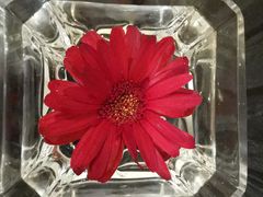 -温州王朝大酒店-自助餐厅