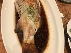 清蒸游水东星斑-喜来登由由大酒店九州膳坊中餐厅