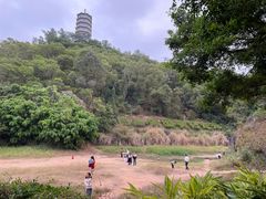 -深圳国际园林花卉博览园