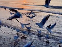 -老虎石海上公园