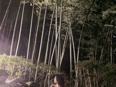 -江南天池高山汤泉城