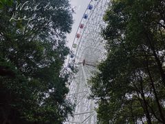 -温州乐园