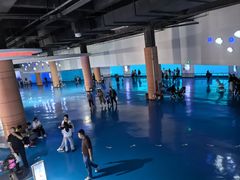-泉城欧乐堡海洋极地世界