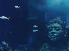 -暹罗海洋世界
