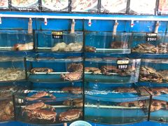 -渔中舟海鲜大排档(普陀沈家门店)