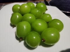 -福满满·精细佛跳墙火锅(湘江道店)