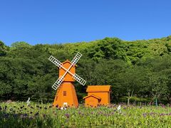 -苏州上方山国家森林公园