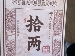 -南京银杏湖乐园