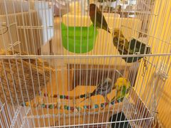 -品茗轩茶楼(江川路店)