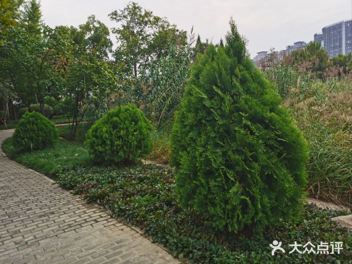 郑东新区湿地公园图片