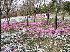 -南通洲际绿博园