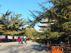 -迎泽公园