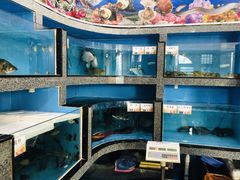水产区-迎喜海鲜酒楼(鹏森·海纳中心店)