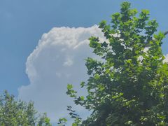 -乔家栅(大木桥路店)