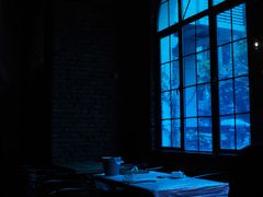 -巴厘龙虾·榜首油焖大虾(洞庭·艺术洋房店)