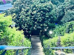 -罗汉堂·荷谷(礼智路店)