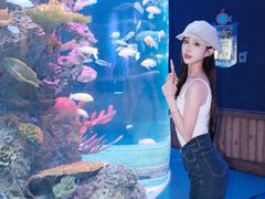 -石家庄极地海洋世界