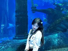 -哈尔滨波塞冬海底世界