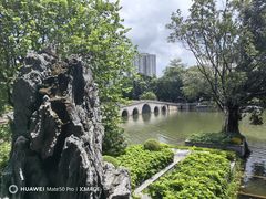 -荔湾湖公园