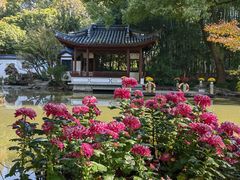 -汇龙潭