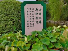 -济南大明湖景区