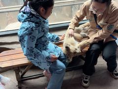 -鄂尔多斯野生动物园