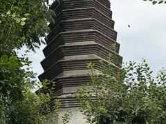-正阳书局(西四南大街店)