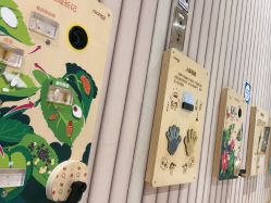 -MELAND CLUB亲子乐园•派对(石家庄万象城店)