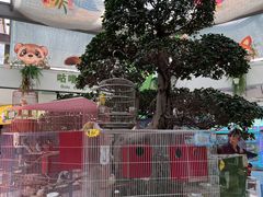 -宁波儿童公园(鄞州区)