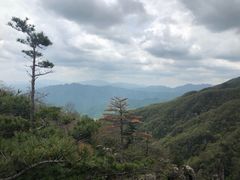 -牛背梁国家森林公园