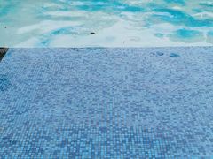 -汪说喵讲宠物乐园宠物酒店(红星美凯龙店)