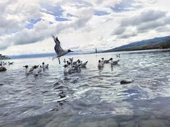 -青海湖二郎剑景区