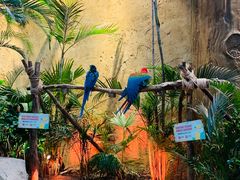 -杭州开元森泊度假乐园